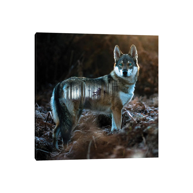 Wolf by Paul Haag - Print on Canvas, 30.48 cm H x 30.48 cm W, Wrapped Canvas