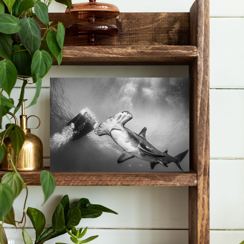 Impression d'art mural Majestic Hammerhead Swim, H 12 po x l 18 po
