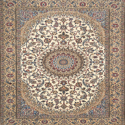 Garin Oriental Indoor Rug