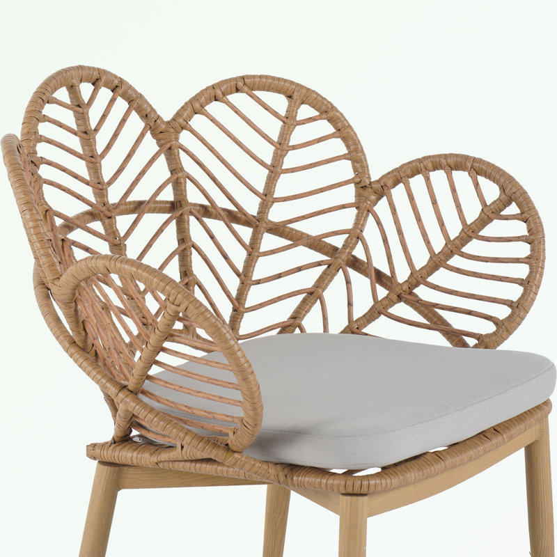 Ensemble de 2 chaises en osier avec coussin moelleux