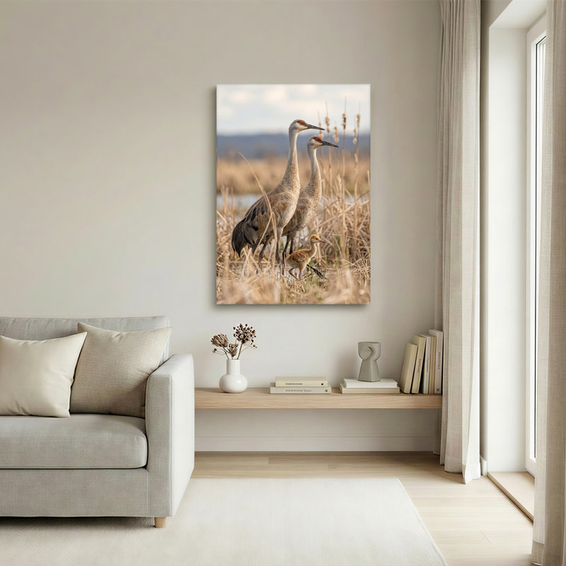 «Sandhill Cranes and Chick in Tall Marsh Grass Field», art mural sur toile, 48"H x 32"W