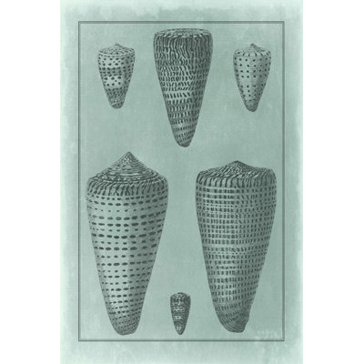Spa Shell Collection I