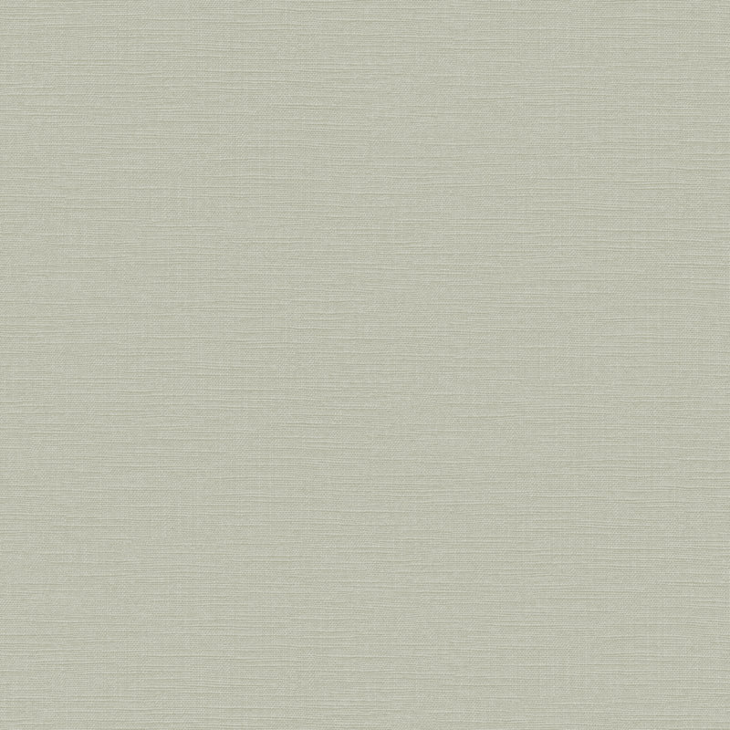 Superfresco Easy Amour Texture aqua Wallpaper, Sage 