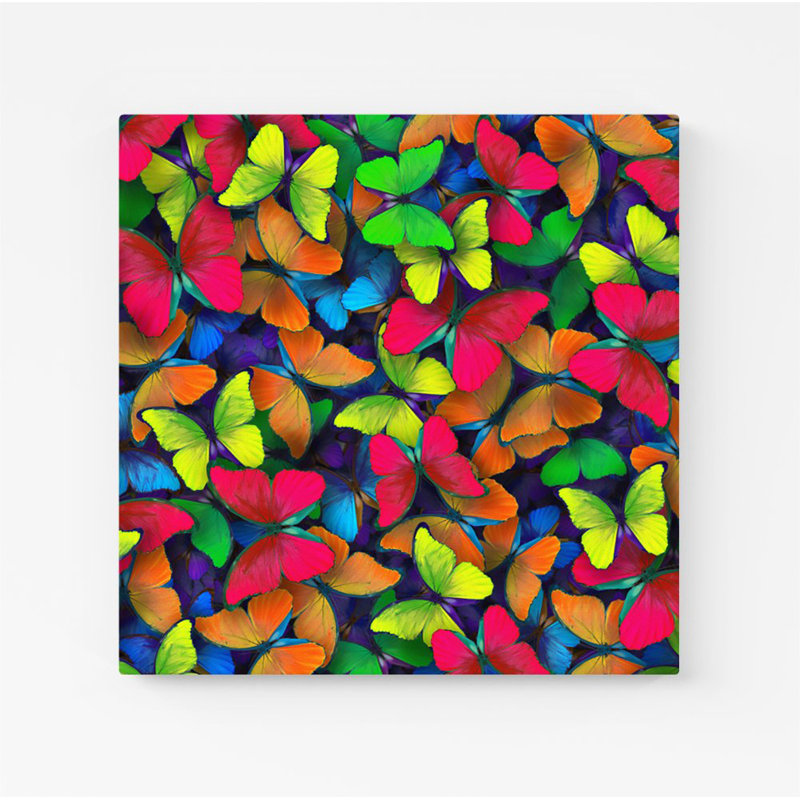 Rainbow Butterflies - Wrapped Canvas Print, 16cm H x 16cm W x 3.8cm D