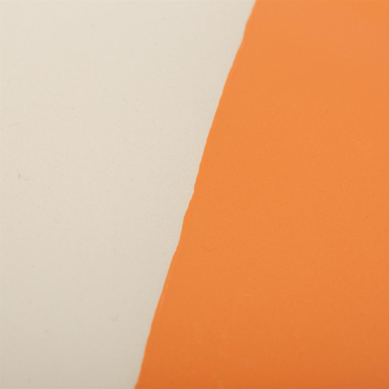26.5cm Stoneware Dinner Plate, Orange