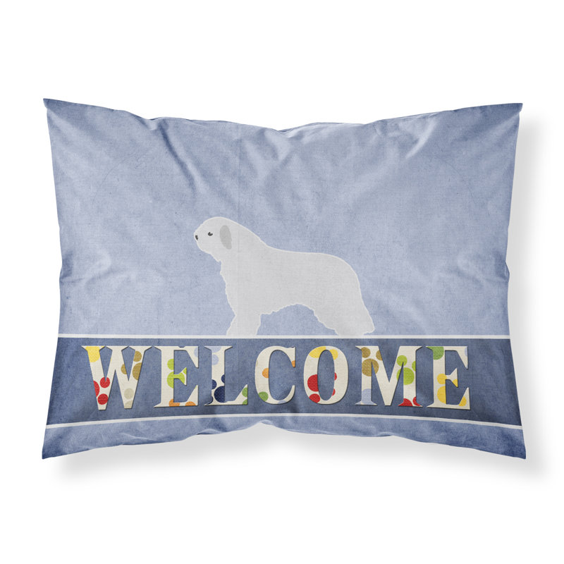 Microfiber, Spanish Water Dog