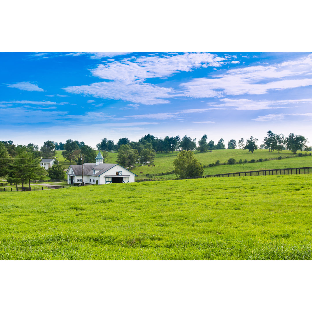 Green Pastures Of Horse Farms. by Volgariver - Wrapped Canvas Print