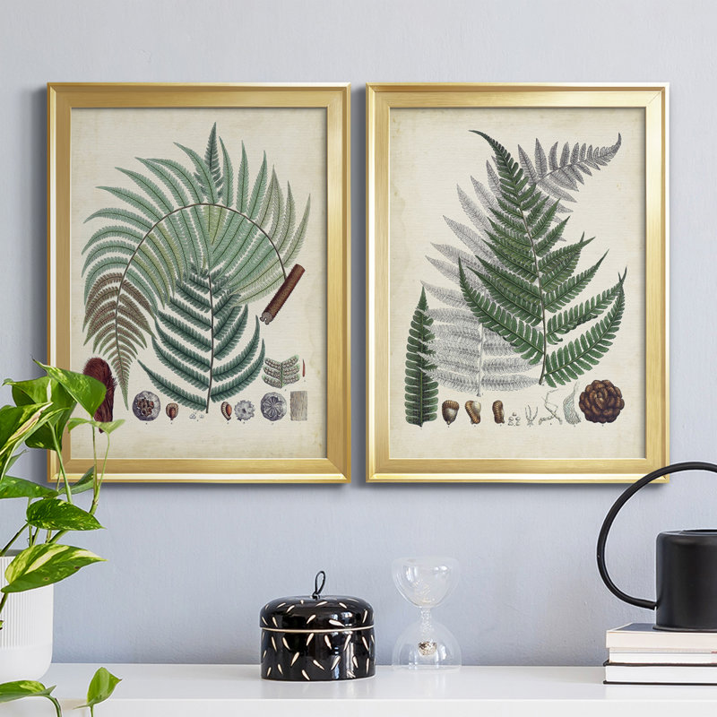 Collection de fougères I - ensemble de 2 impressions encadrées sur toile, H 42,5 po x l 30,5 po x P 1,25 po, Cadre doré