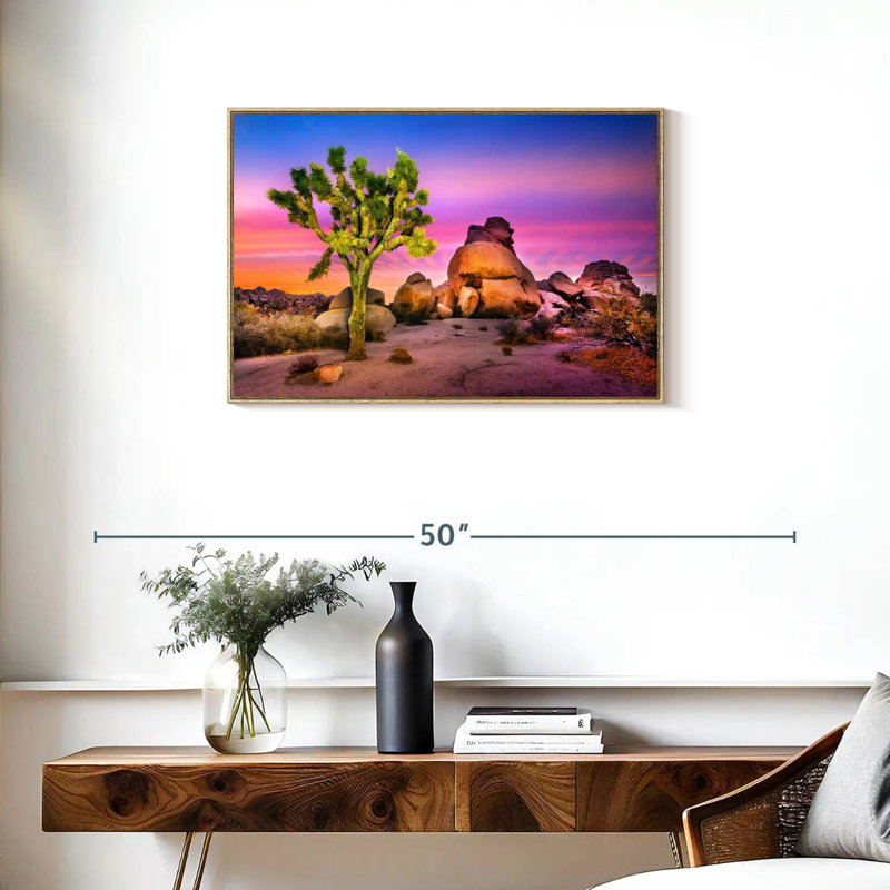 Joshua Tree National Park IV, 31 po x 21 po, Cadre flottant en bois naturel