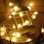 117.6 " LED Twinkling Indoor / Outdoor String Lights