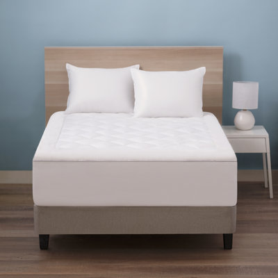 Munoz 1'' Cotton Mattress Pad