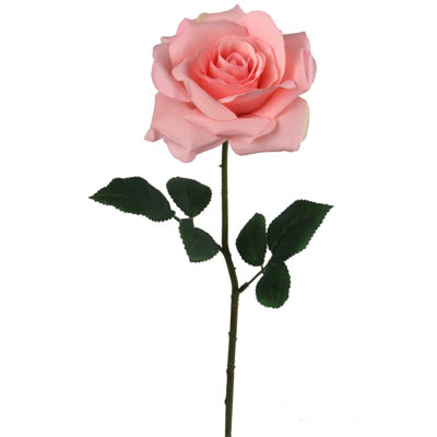 Tige de roses