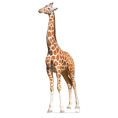 88'' Animals Cardboard Standup