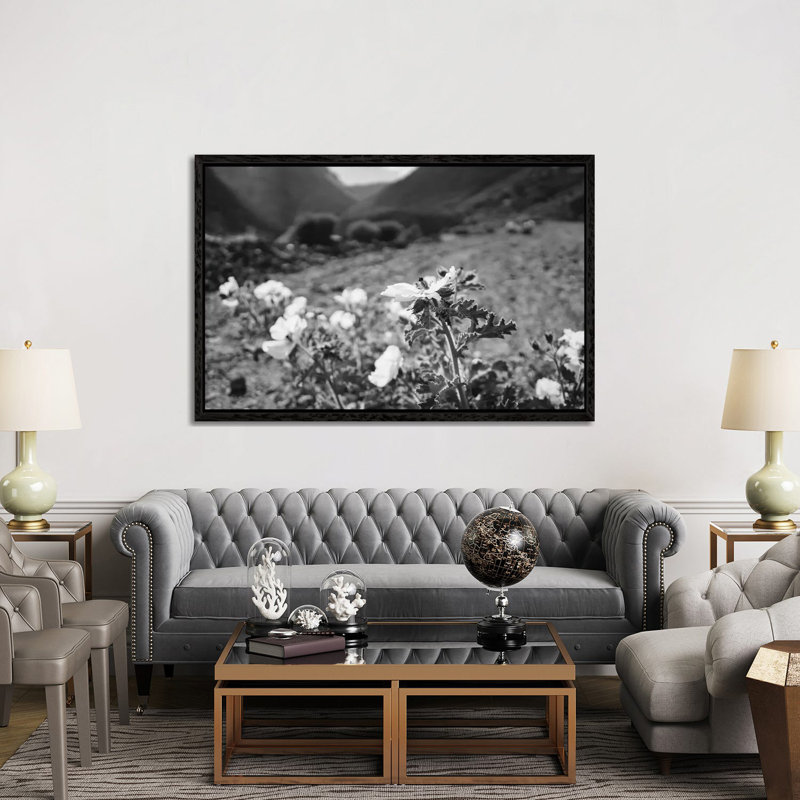 Monochrome Yosemite Blooms II by Bethany Young - Print on Canvas, Black Framed, 101.6cm H x 152.4cm W x 3.81cm D