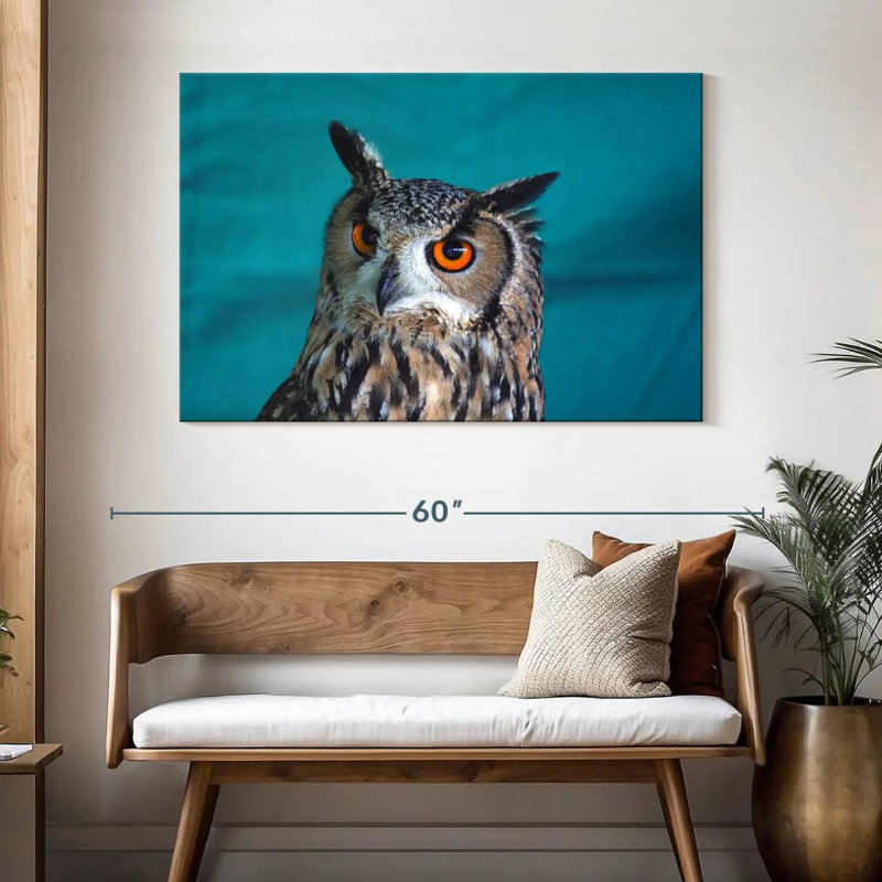 Hibou charmant de Brampt, H 32 po x l 48 po