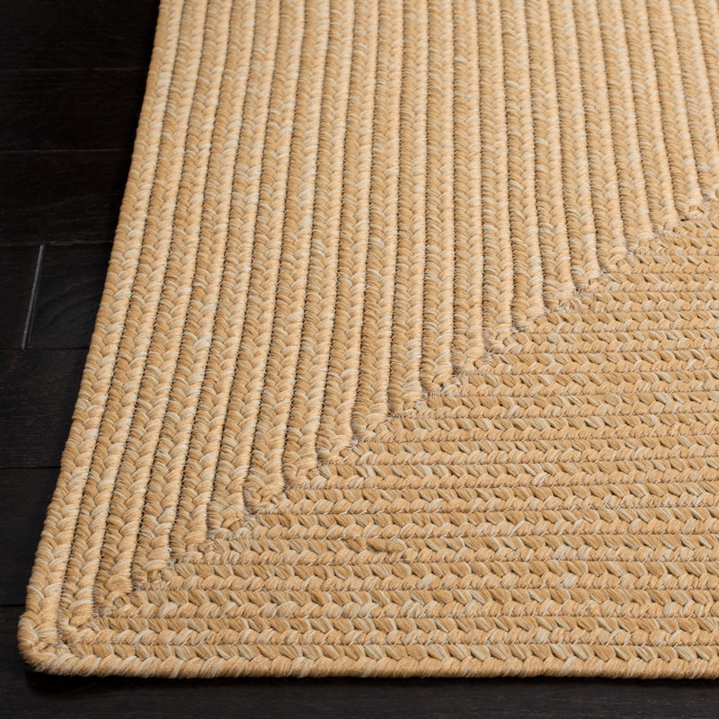 Braided Hand Woven Performance Machine Washable Solid Color Rug, Rectangle 2' x 3'