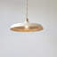 Colbert 1 - Light Dome Pendant-432584804