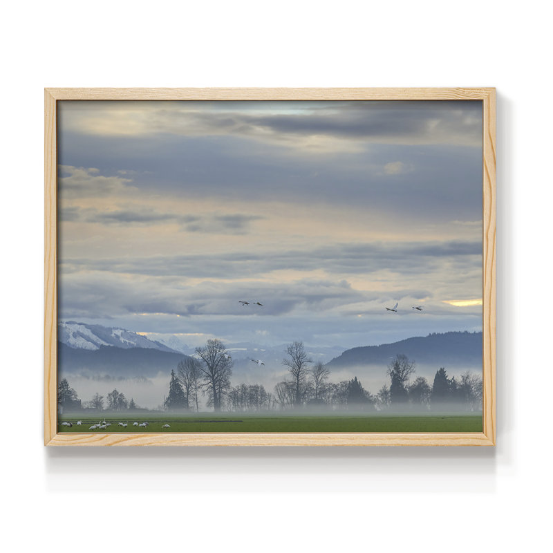 «Misty Horizon», impression encadrée, H 8 po x l 10 po, Naturel