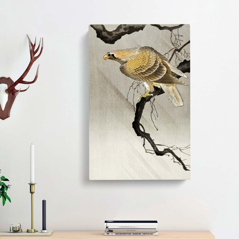 Eagle In The Tree by Pierre-Joseph Redoute - Wrapped Canvas, 76cm H x 50cm W x 3cm D