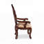 2 chaises avec accoudoirs