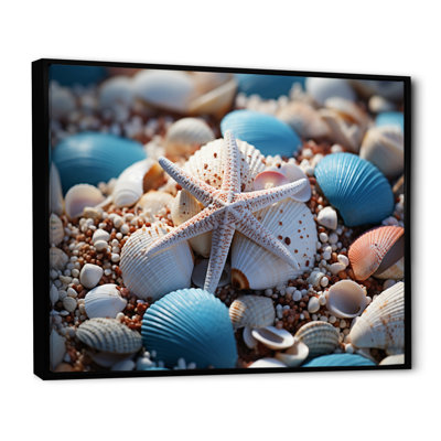 " Coastal Seashell Symphony "
