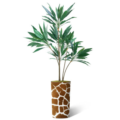 66 plantes