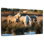 The White Horses Of The Camargue VII