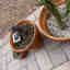 Photos des clients 1 de 2