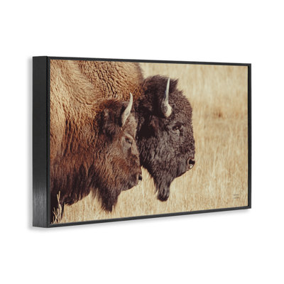 Bison Pair in Countryside Framed Giclee Art by Nathan Larson