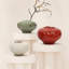 Le vase ovale-116894626