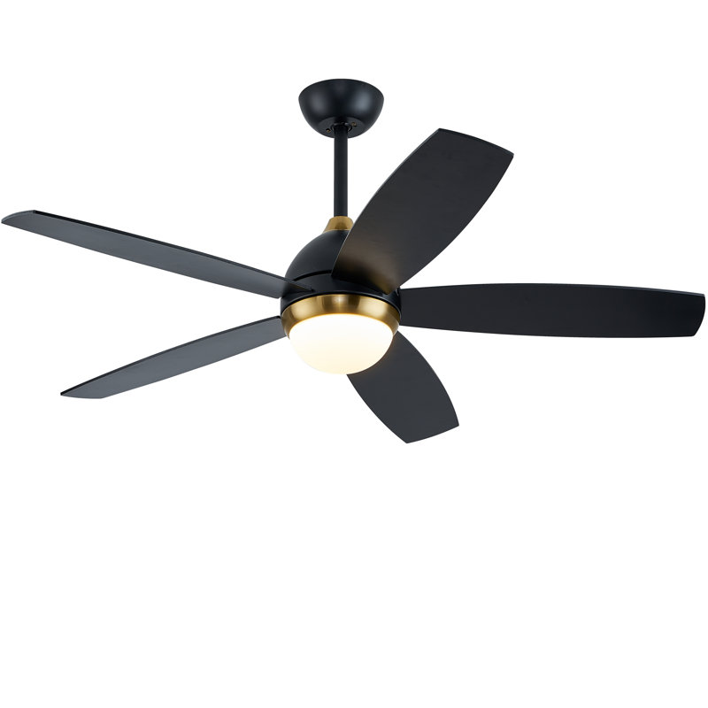 Ventilateur de plafond avec lumières DEL Refton Whisper Bloom, Noir mat, Noir mat