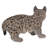 Lynx Kitten Statue