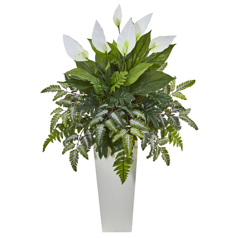 Plante à feuillage spathiphyllum 20,75" en pot de fleurs, H 36 po x l 15,25 po x P 7,25 po