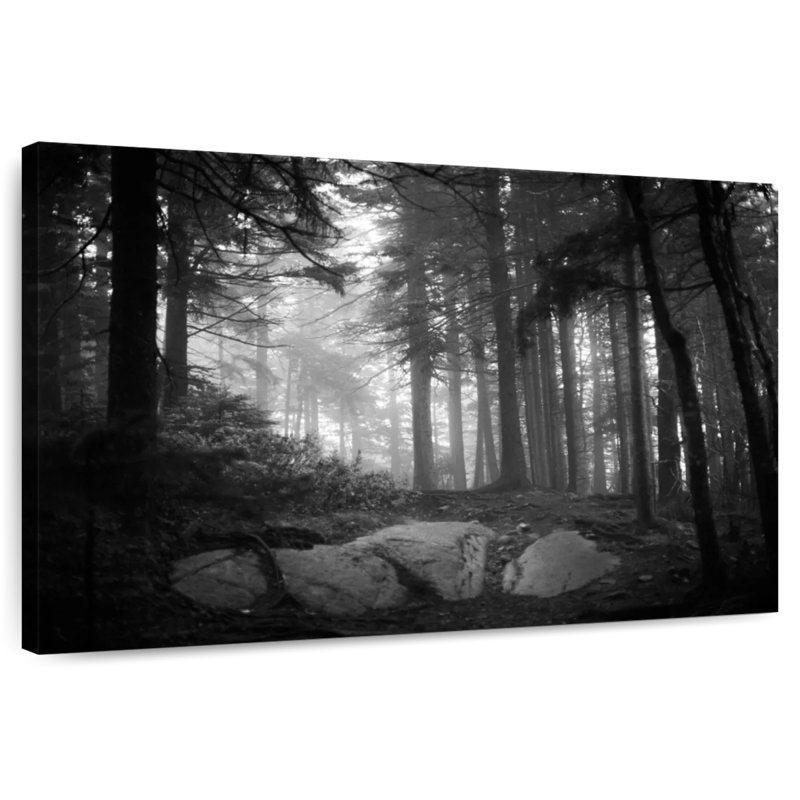 Forêt du parc national Harnek Acadia, H 8 po x l 12 po