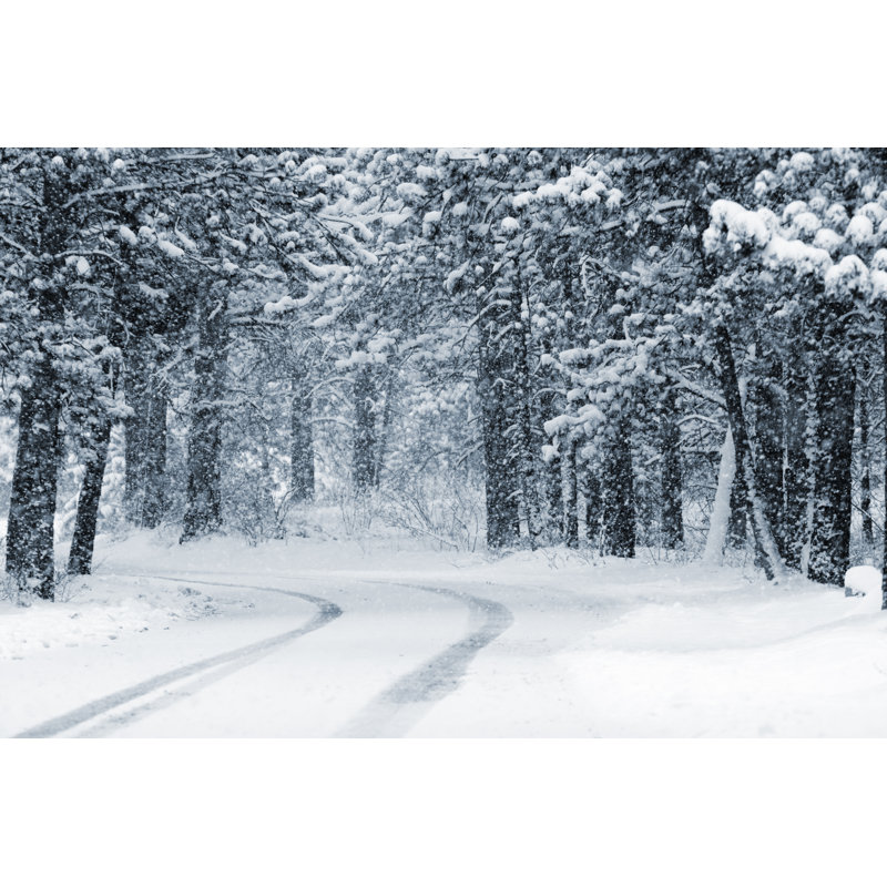 Neige lourde par Swkrullimaging, H 20 po x l 30 po