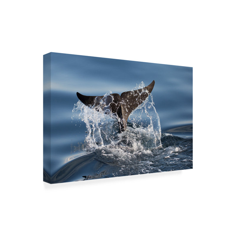 Art sur toile «bolche» C.S. Tjandra, H 12 po x l 19 po