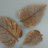 Birch Leaf Wall Décor