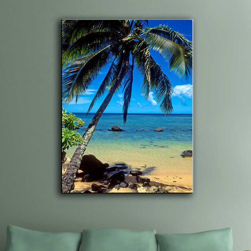 « belle anini beach »-impression sur toile tendue, H 36 po x l 24 po