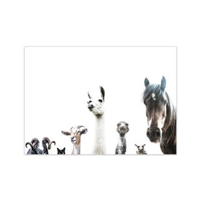 Animal Crew by Victoria Frost - Print