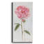 Pivoine I - impression sur toile tendue-1502834280