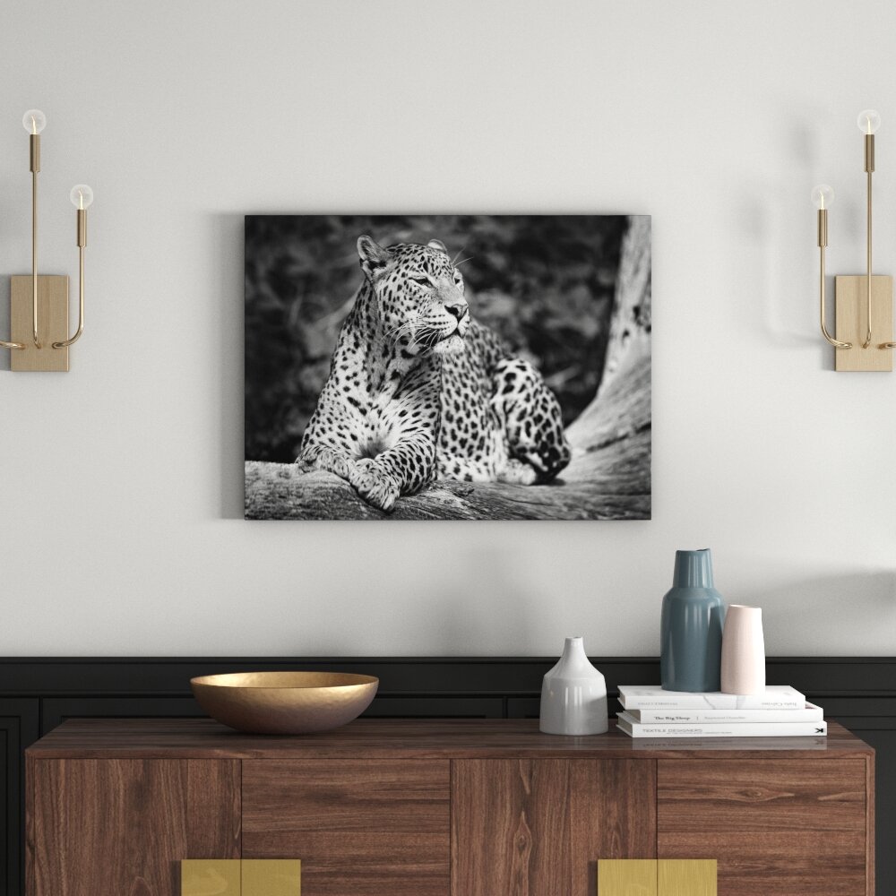 Leinwandbild „Wunderschöner Leopard in der Natur“, Fotodruck