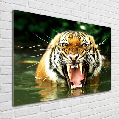 Roaring Tiger - No Frame Print on Glass