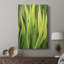 Blades of Grass II - galerie Cavas sur mesure-117748512