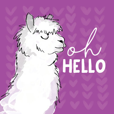 Oh Hello White Llama On Purple - Wrapped Canvas Print