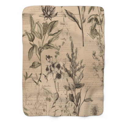 Composition de fleurs séchées - 1 pièce Sherpa Premium