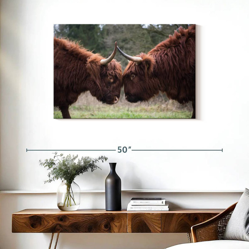 Brampt Highland Cow Clash, 24" H x 36" W