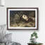 The Head of Medusa by Peter Paul Rubens - Picture Frame Painting on MDF-62772683-62772680