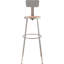 Backed Adjustable Height Ergonomic Lab Stool Footring-117563505-117563504