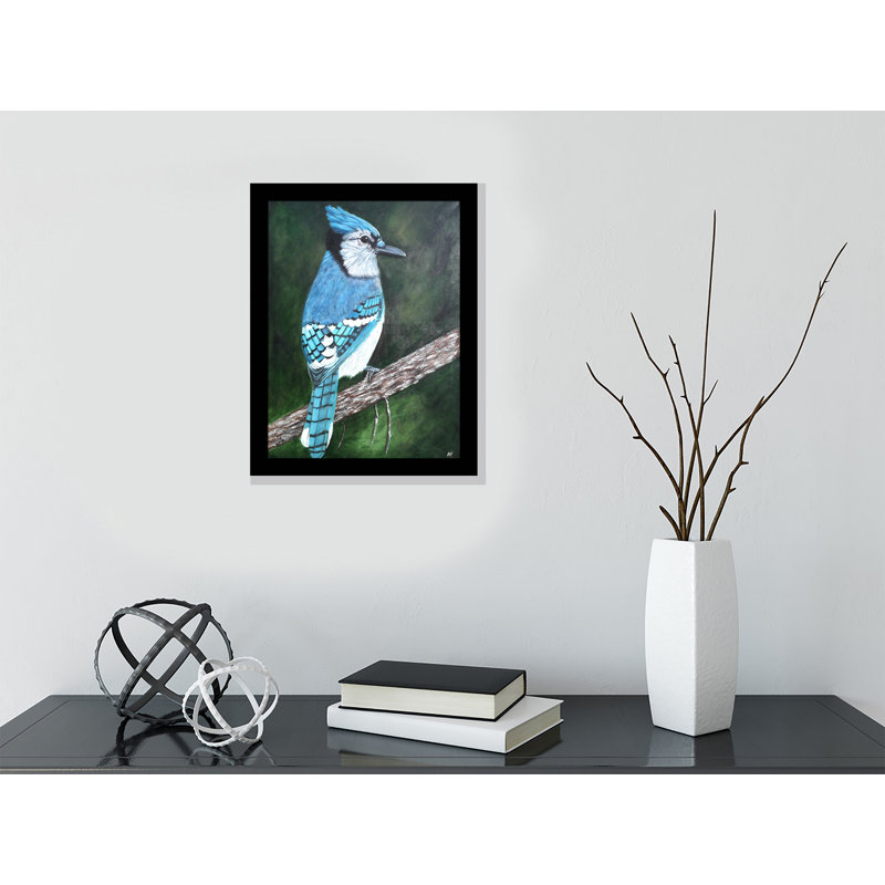 «Blue Jay» par Amy Valiante - reproduction d'art, Papier encadré noir, Aucun mat, H 15 po x l 12 po x P 2 po