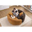 S - Canapé modulaire incurvé en chenille orange à 2 profondeurs de 21,3 po et 26,8 po, sans assemblage, compact pour les petits espaces, L 66,9 po, 400 lb, siège souple moyen, dossier coussiné, accoudoirs évasés, mousse haute résilience-392163880